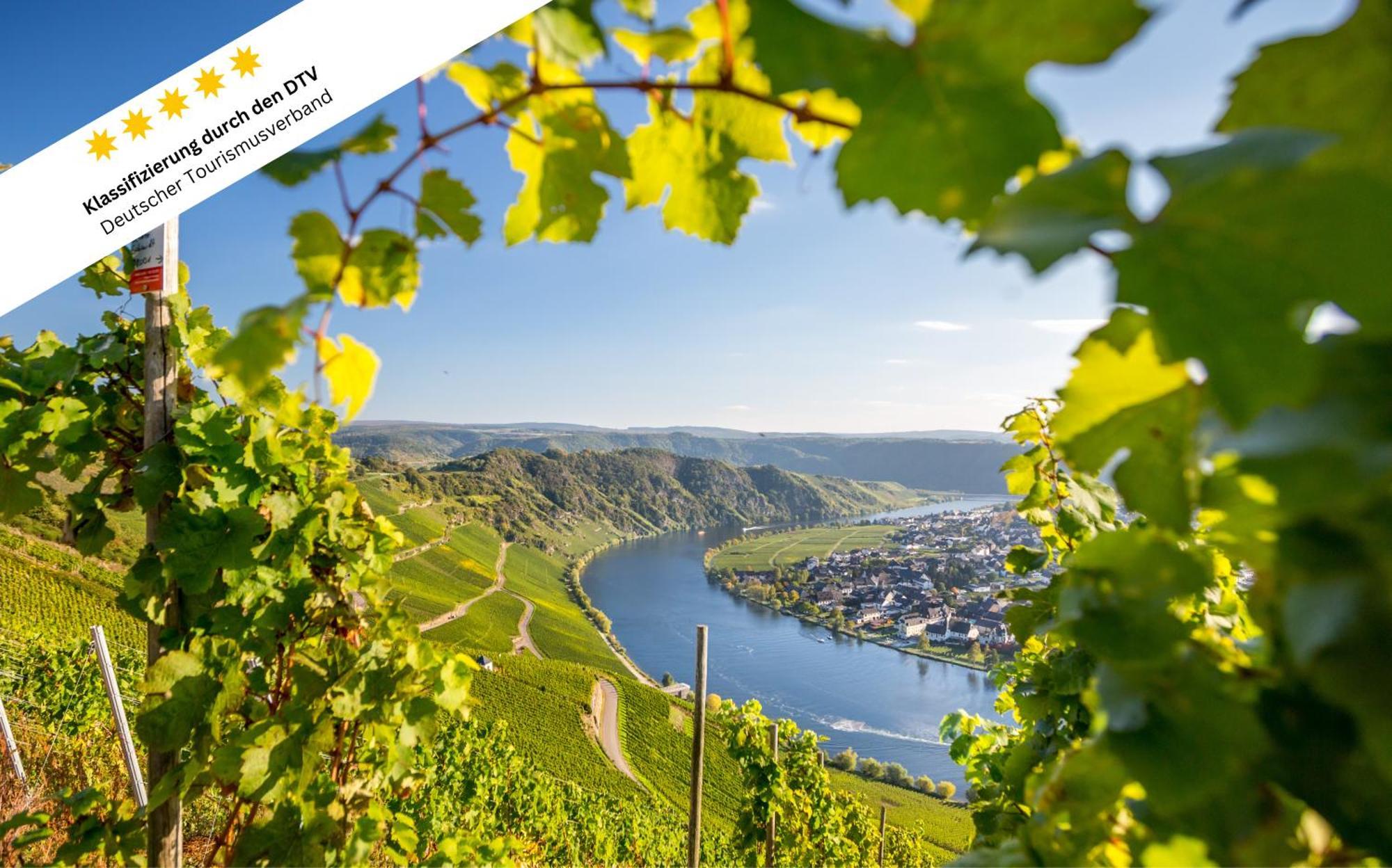 Appartamento Wohlfuehloase An Der Mosel Osann-Monzel Esterno foto